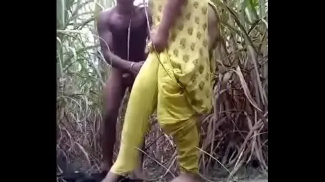 Hindi bf A Village Girl Fucked In the Middle of a Sugarcane Field